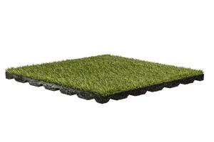 gelsport grass